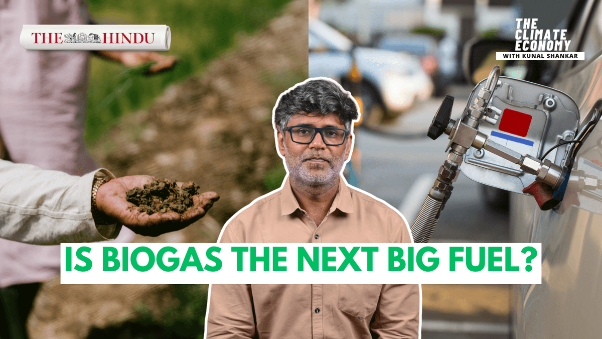 Watch: Is biogas the next big fuel?