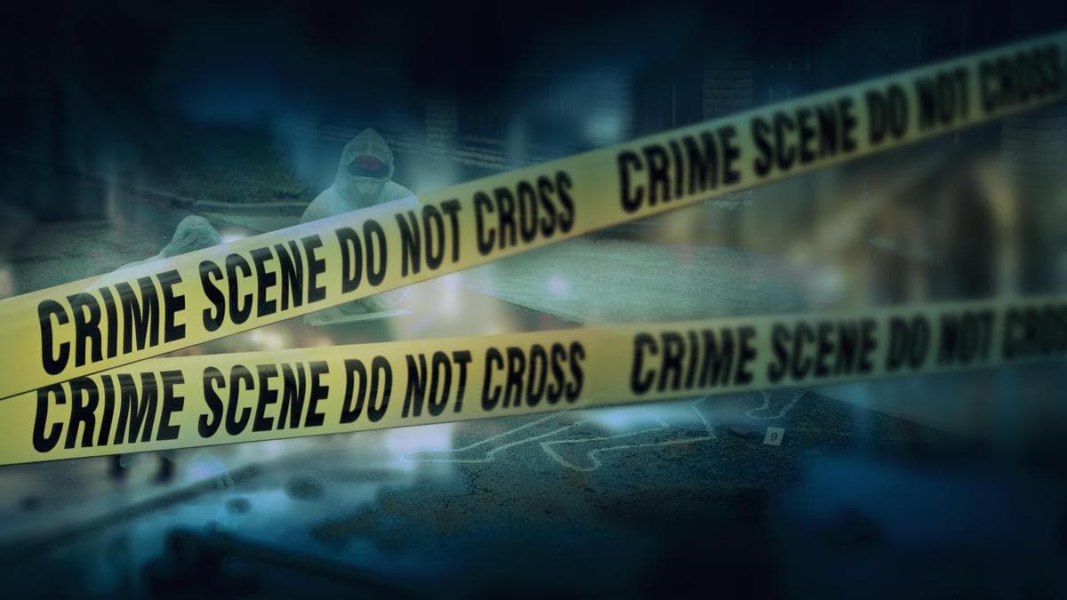 Two men killed in Gujarat car crash; 677 liquor bottles recovered from vehicle