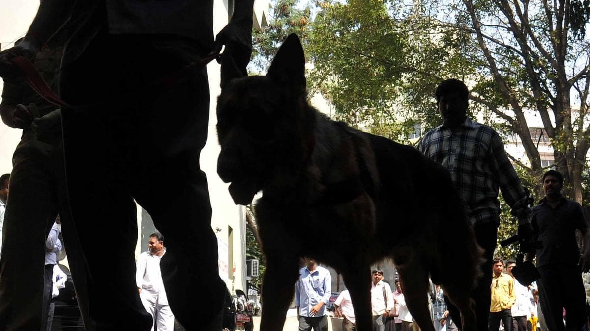 Bomb threat to CBI court in Nampally declared hoax after searches