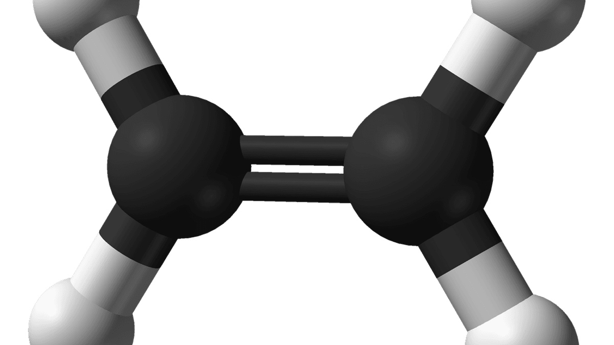 The Science Quiz: The science hidden in proverbs and idioms