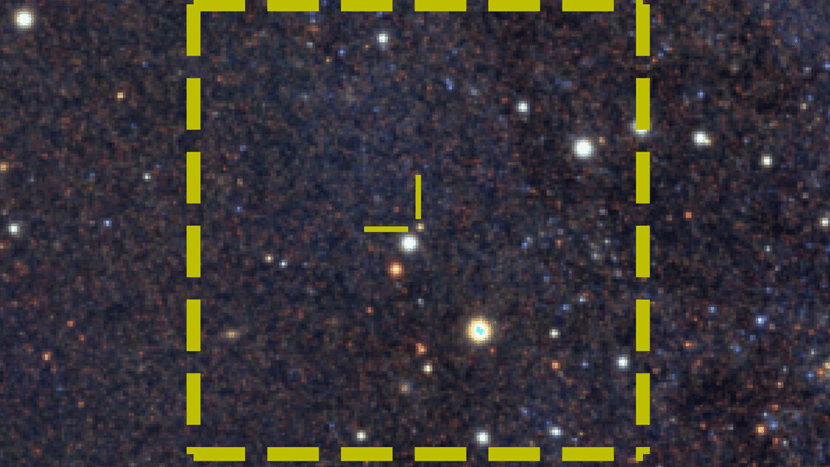 The curious case of the star that may have swallowed itself