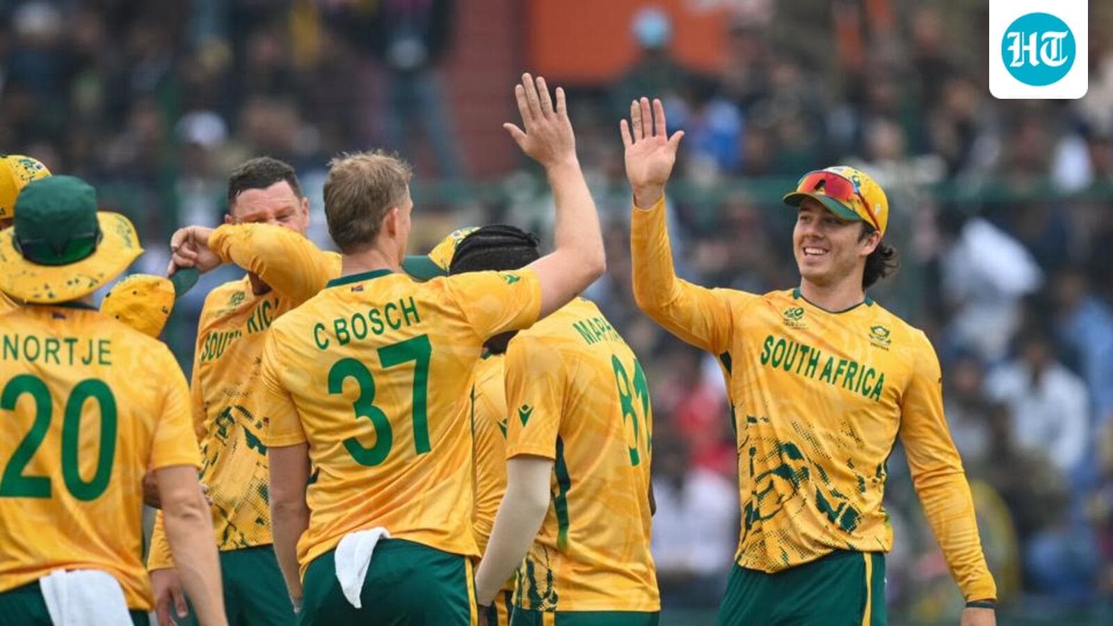 T20 World Cup: Ahead of India clash, Proteas earn facile win over UAE