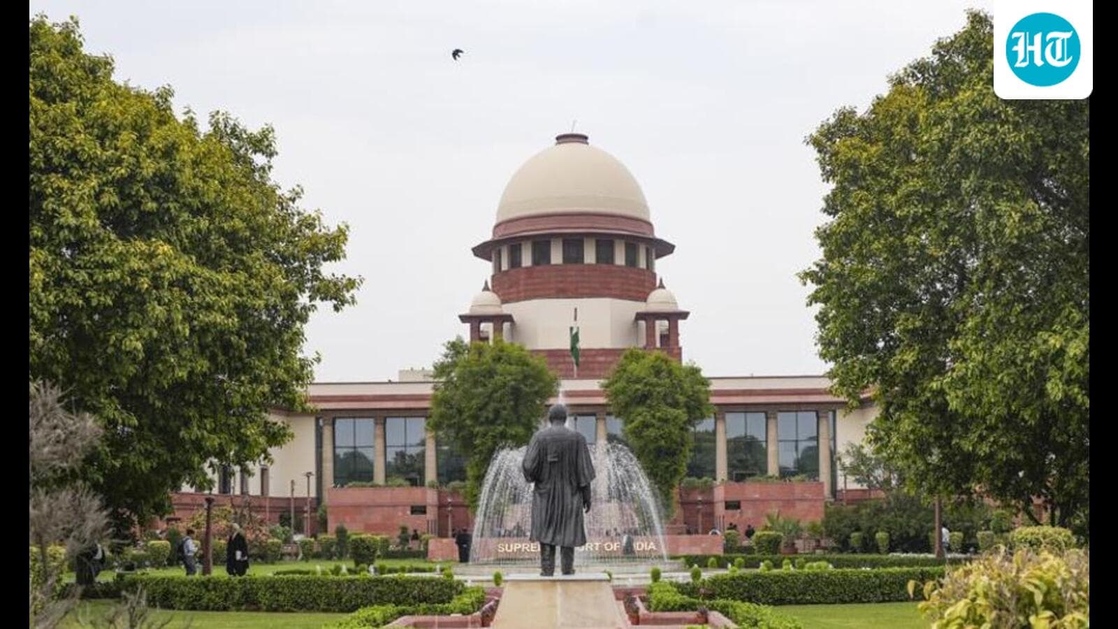 ‘You can’t do whatever you want’: SC grills Elvish Yadav over snakes in video